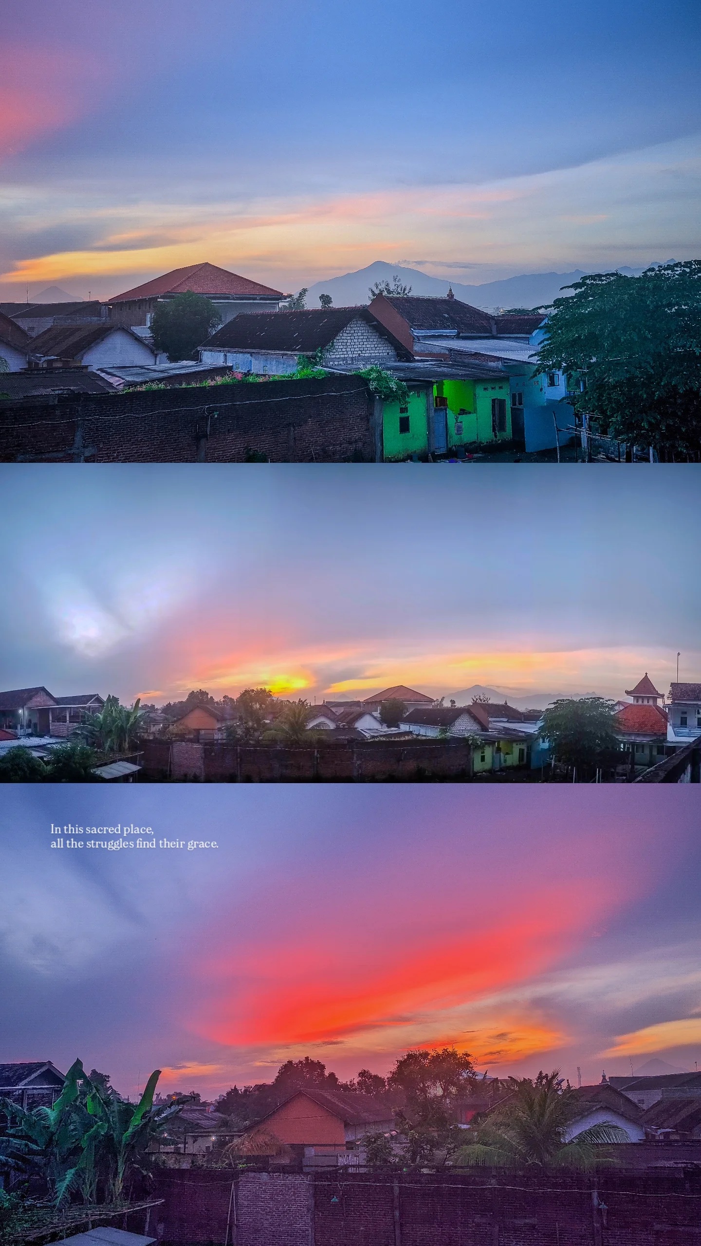 Photograph 17